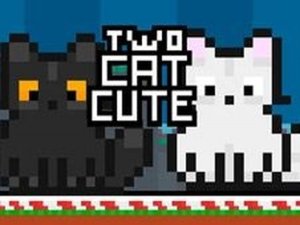 Two Cat Puzzle Adventure