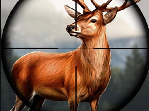 Safari Tracker Adventure Game
