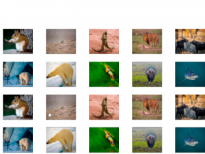 Animal Memory Online Game