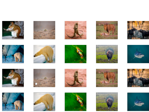Animal Match Memory Challenge