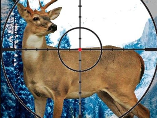 Wilderness Target Challenge