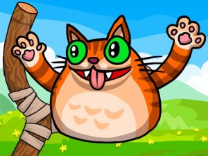 Angry Cat Shot Online Game