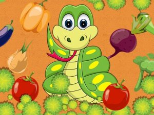 Vegetable Snake Online Game