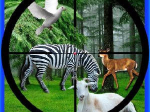 Real Jungle Animals Hunting Online Game