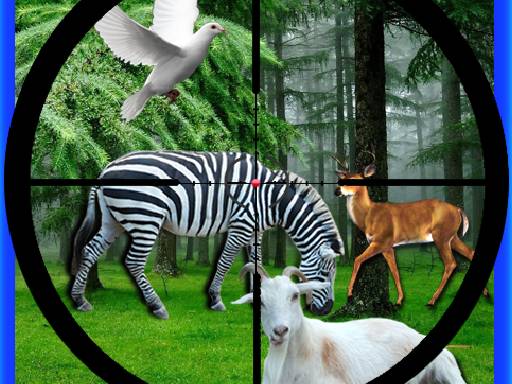 Wildlife Observation Trail
