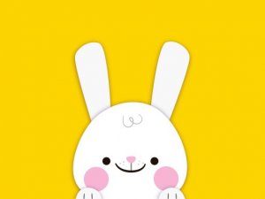 Animal Jigsaw Puzzle Online Game
