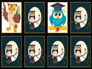 Cute Owl Memory Online Game