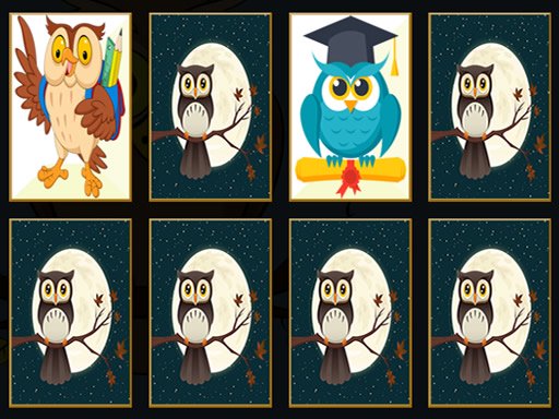 Owl Pairs Memory Challenge