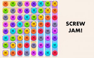 Screw Jam Puzzle: Relaxing Mechanical Sorting Game