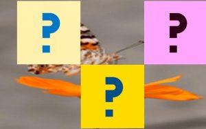 Butterfly Memory Match Puzzle Game