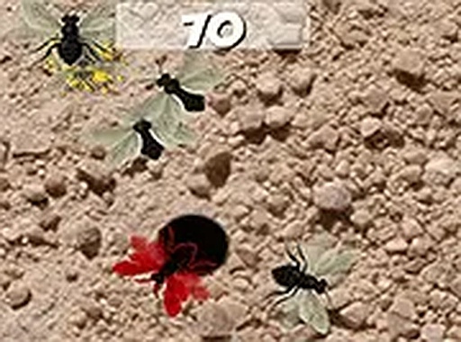 Quick Tap Bug Catcher