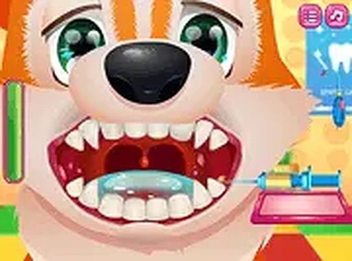 Pet Dental Health Adventure