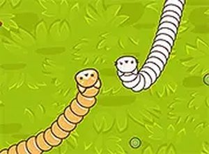 Cute Snake io Online Game
